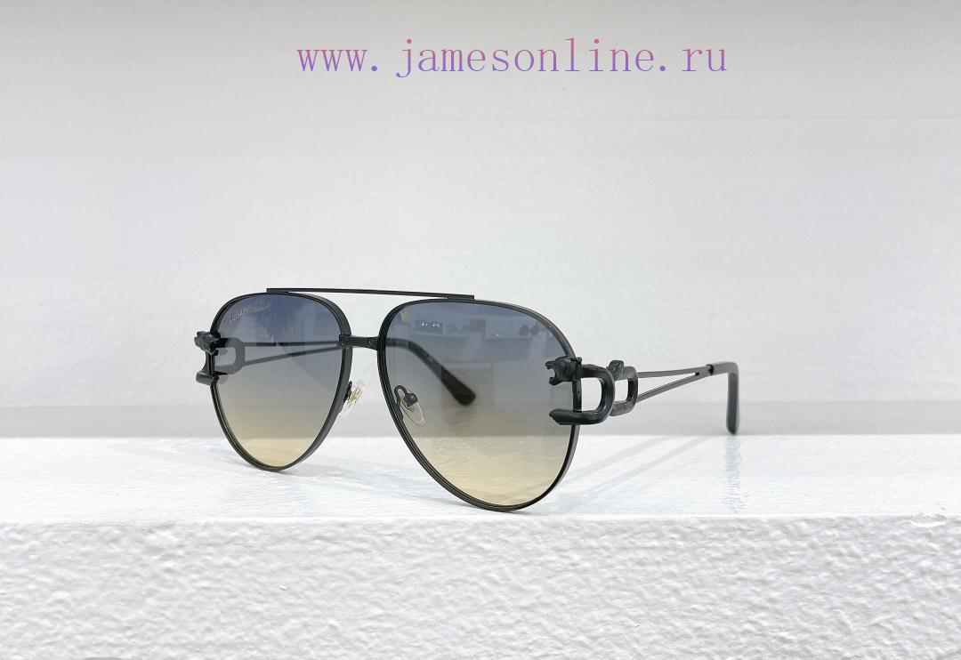 Cartier MODELCT0512SSIZE61 ports 13-140ooqqybt2 - Image 2