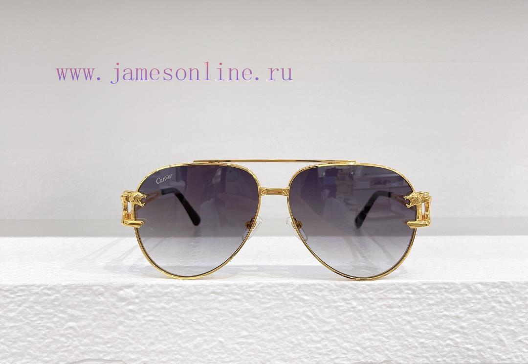 Cartier MODELCT0512SSIZE61 ports 13-140ooqqybt2 - Image 9