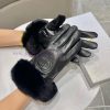 Dior DIDR's new autumn and winter lazy rabbit fur CD sheepskin embroidered gloves for mobile86ssp3yg