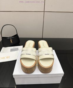 Dior 2025 Spring/Summer New Dway Jelly Slope Heel Women's Shoes CD Letter Logo Stereoscopic Emb h2f73dm0